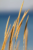Bending...
