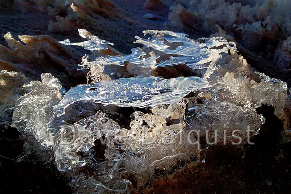 Spring Ice