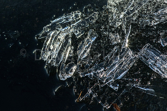 Melting Ice Floating In Water