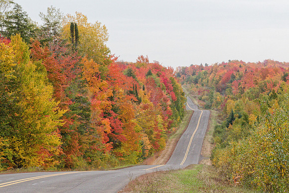 Misery Bay Road