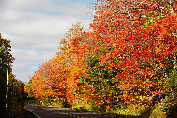 UP Fall Colors