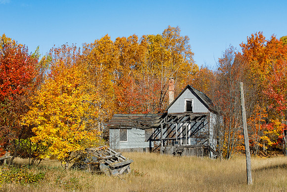 Nobody Home (for a long time)