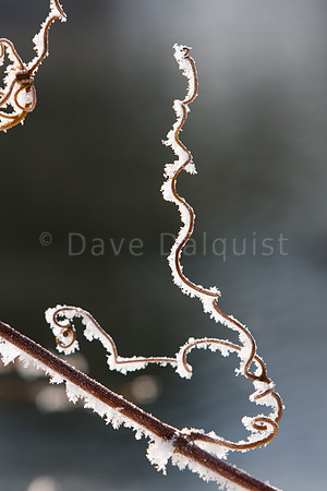 A Very Cold Winter Morning...