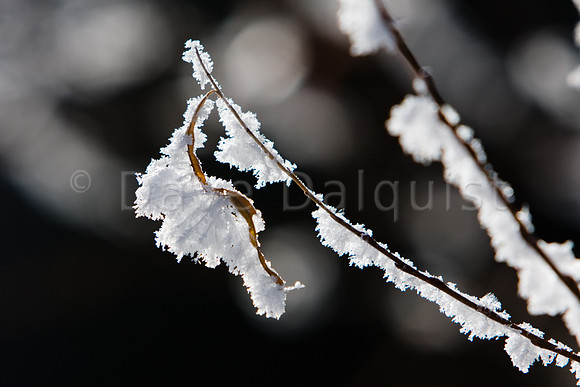 A Very Cold Winter Morning...