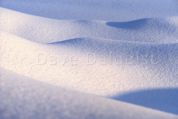 Snow Sculptures