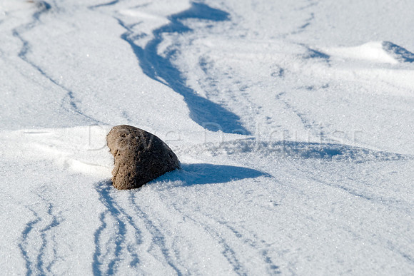 Snow Sculptures