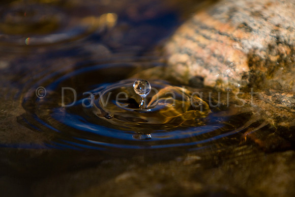 Melting Ice Water Drops