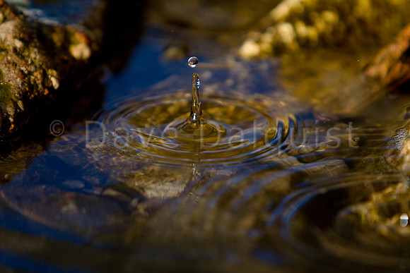 Melting Ice Water Drops