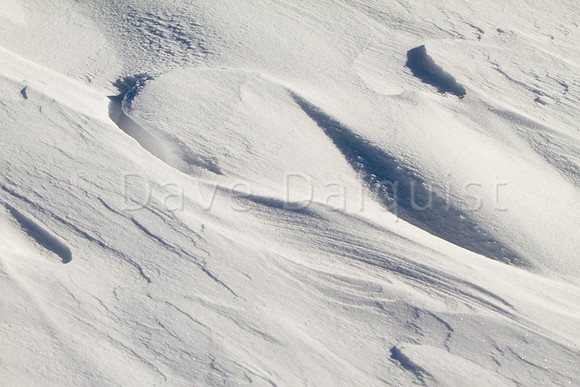 Snow Sculptures