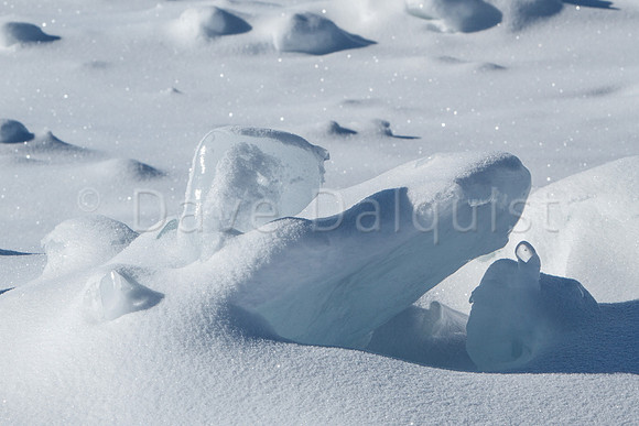 Lake Michigan Ice Formations