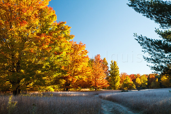 Landscapes