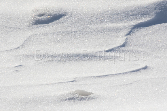 Snowscape Closeup