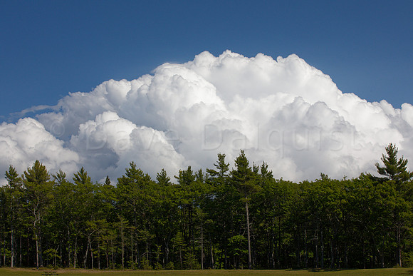 Storm's a Brewin'