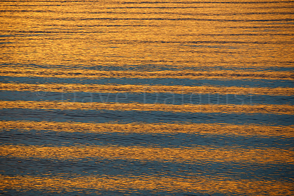 Quiet Waves During a Golden Sunset