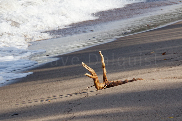 It's Got the Beach to Itself