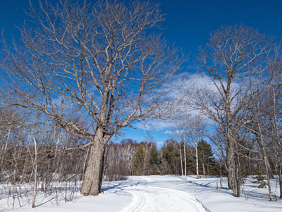 Swedetown Ski Trails