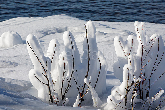 Melting Lakeshore Ice