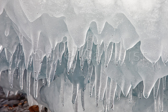 Melting Lakeshore Ice
