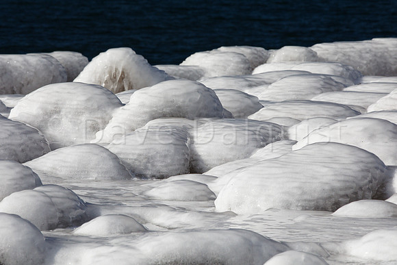 Ice Garden Ledge