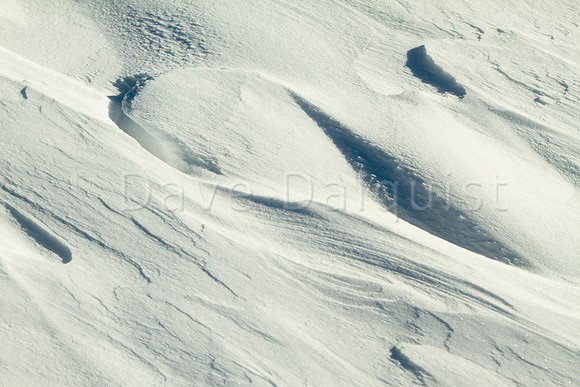 Snowscape