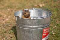 Caught In the Act!