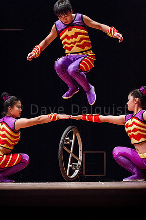 Golden Dragon Acrobats