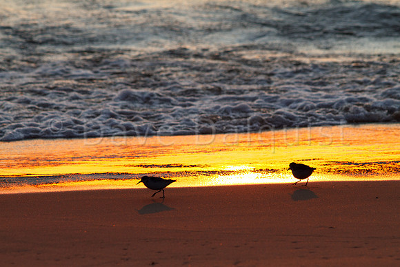 Lake Michigan Sunset :: Frankfort, MI