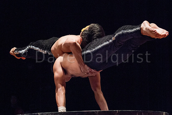 Golden Dragon Acrobats