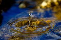 Water Droplet Splash Caught In Time