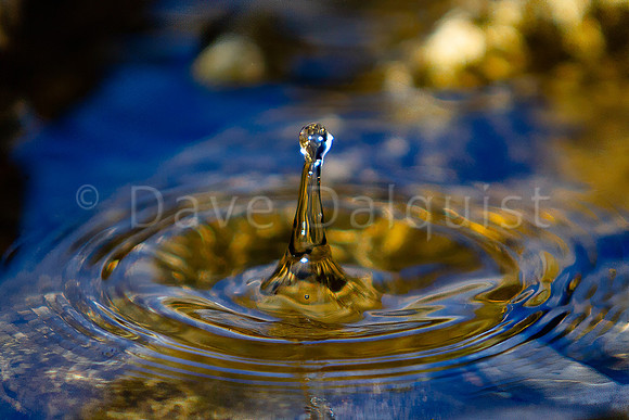 Water Droplet Splash Caught In Time